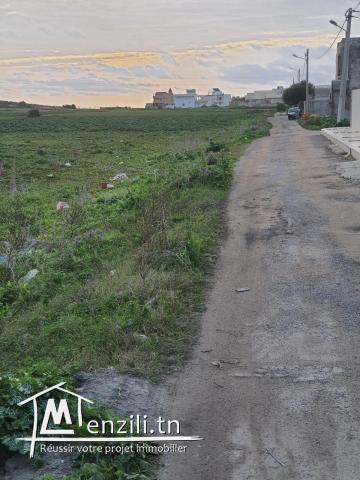 Des terrains à vendre sur la route de Kélibia MC27