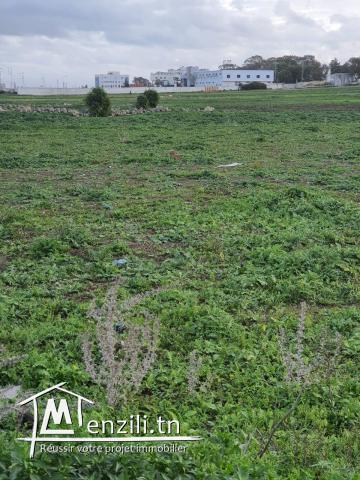 Des terrains à vendre sur la route de Kélibia MC27