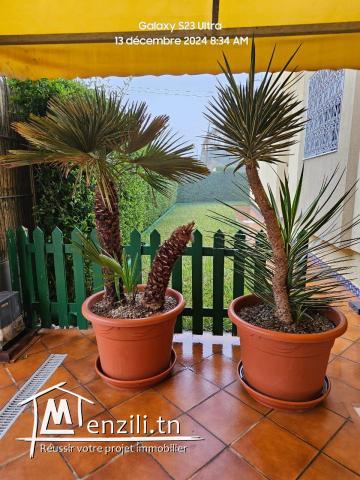 villa a vendre de 250 m2 à hammam Sousse