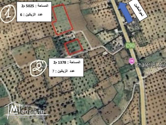 lot de terrains à vendre