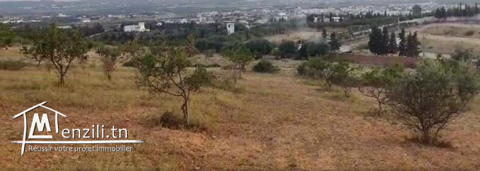 Terrain 1000m² à vendre à Oued Lill – Emplacement idéal devant El Palazzo !