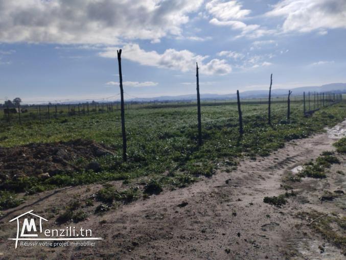 À vendre : Terrain de 2025 m²