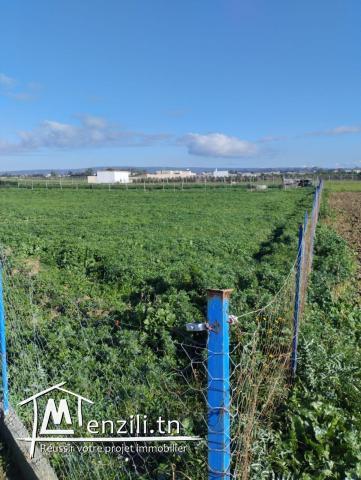 À vendre : Terrain de 2025 m²