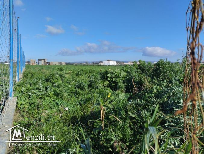 À vendre : Terrain de 2025 m²