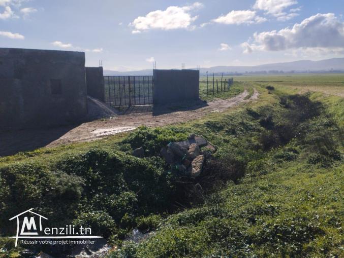 À vendre : Terrain de 2025 m²