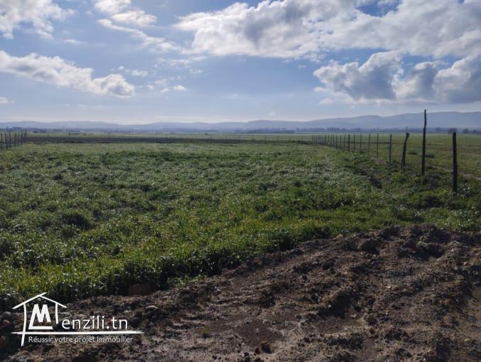 À vendre : Terrain de 2025 m²