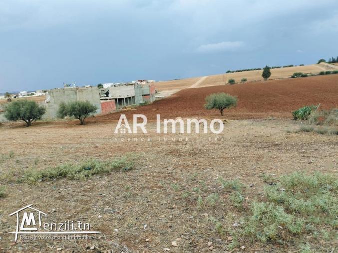 Lots de Terrains en Vente dans un Lotissement  à  Jedaida,