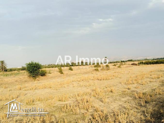 Lots de Terrains à Vendre à Jedaida