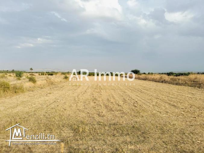 Lots de Terrains à Vendre à Jedaida