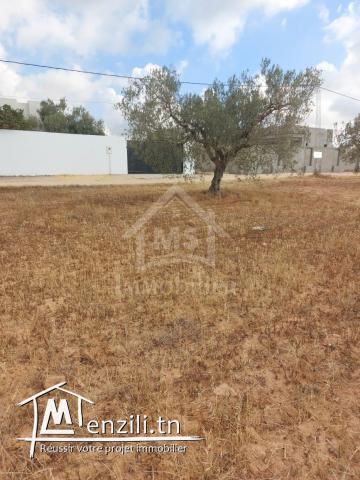 Terrain clôturé de 1253 m² à vendre à Hammamet Sud 51355351