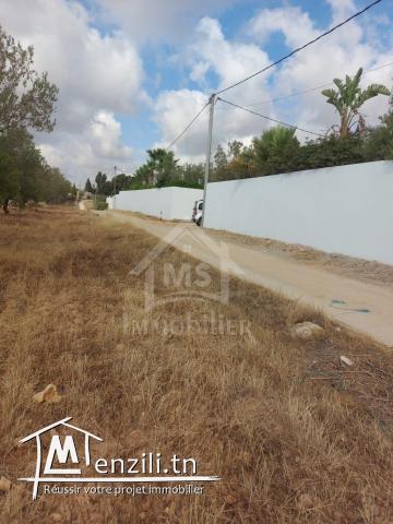 Terrain clôturé de 1253 m² à vendre à Hammamet Sud 51355351