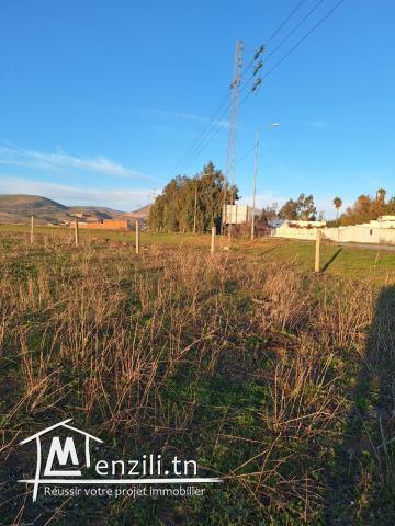 Lot de terrain à Jendouba Bulla Regia قطعة أرض في جندوبة - بُلَّة ريجيا