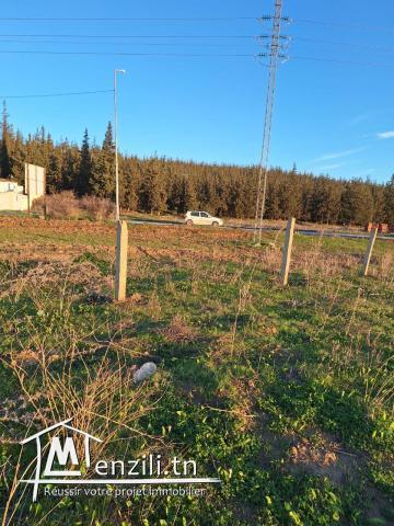 Lot de terrain à Jendouba Bulla Regia قطعة أرض في جندوبة - بُلَّة ريجيا
