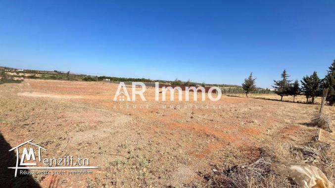 4 Terrains Disponibles pour Vos Projets