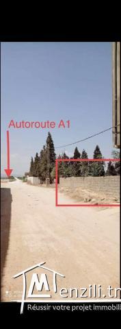 Terrain Yasmine hammamet