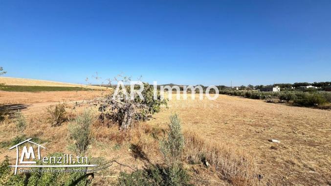 Terrain Agricole et Habitable