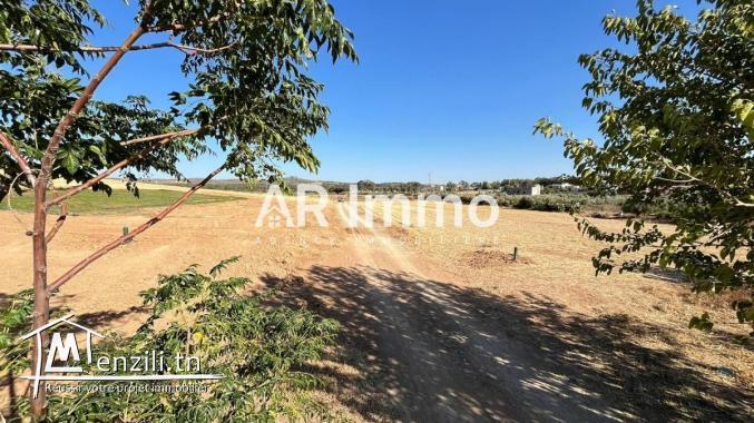 Terrain Agricole et Habitable