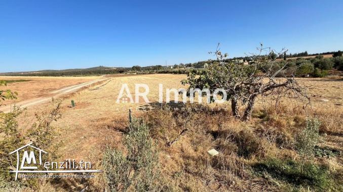 Terrain Agricole et Habitable