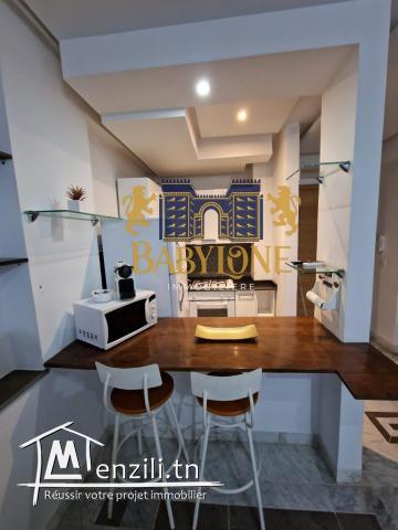 Appartement s1 meublé aux jardins de Carthage