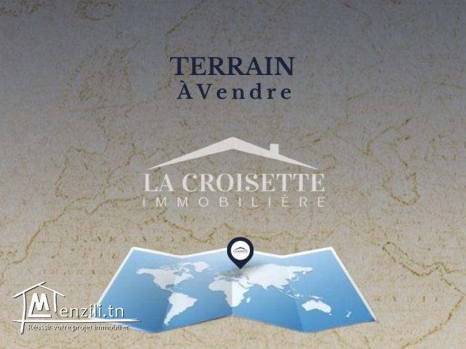 Terrain à Marsa Riadh ZTV0144