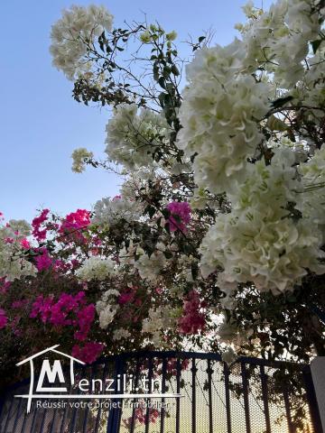 Location Villa avec piscine Dar Khadouja à Erriadh