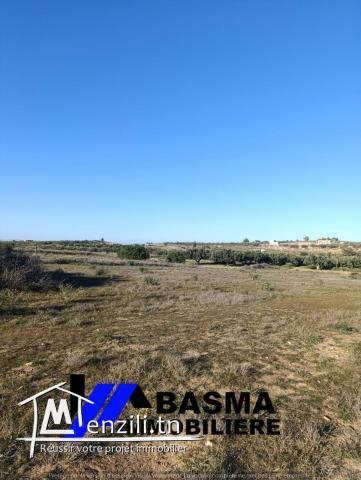 Un terrain agricole à vendre située kalaa kbira