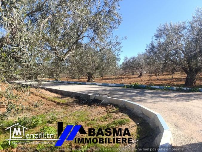 Une ferme à vendre située à kalaa kbira bourra