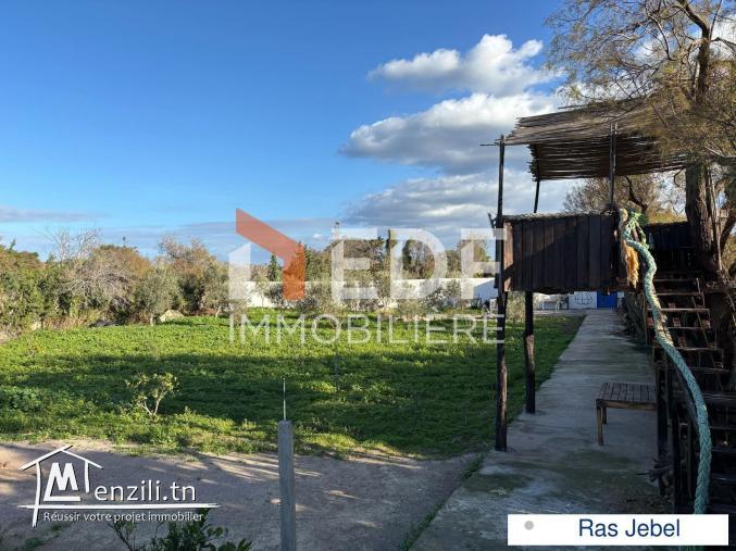 Terrain +studio à Quelques Mètres de la Mer Ras Jebel