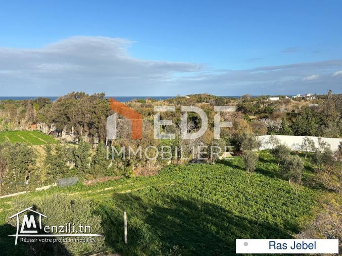 Terrain +studio à Quelques Mètres de la Mer Ras Jebel