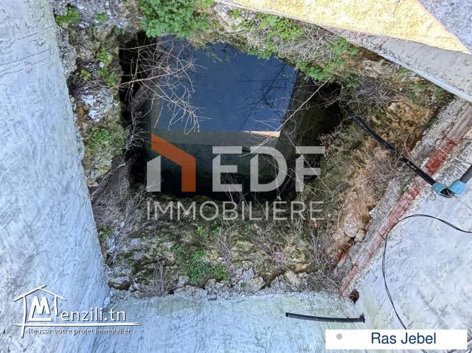 Terrain +studio à Quelques Mètres de la Mer Ras Jebel