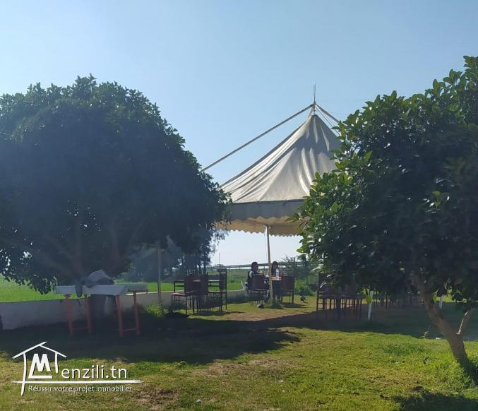 Fonds de commerce restaurant grillades El Kalaa مشاوي القلعة