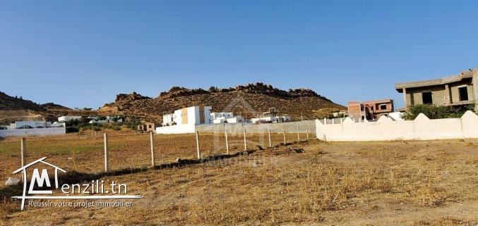 Terrain de 1000 m² à Hammamet Sud à vendre à 185 MD 51355351