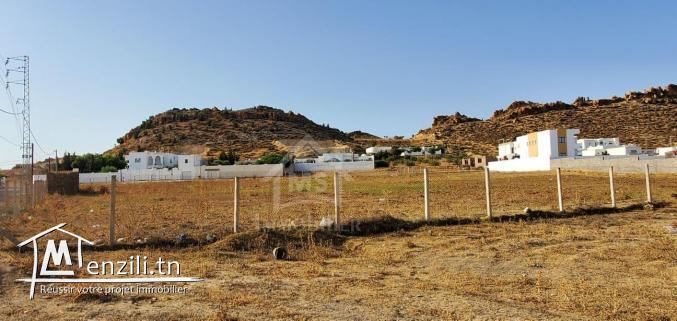 Terrain de 1000 m² à Hammamet Sud à vendre à 185 MD 51355351