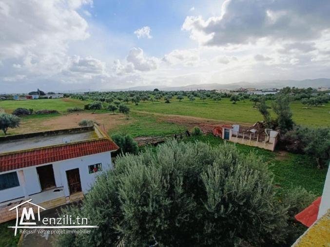 Une ferme à vendre avec une belle villa à solimen