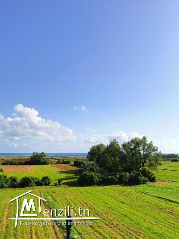 4 terrains constructibles à Lebna