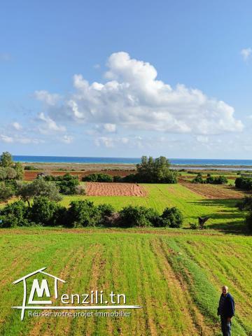 4 terrains constructibles à Lebna