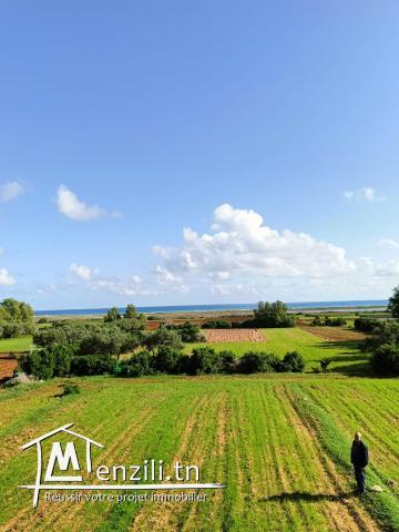 4 terrains constructibles à Lebna