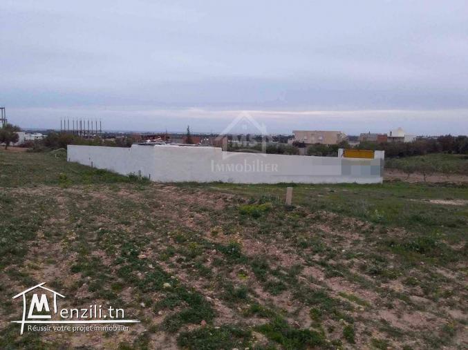 Terrain clôturé à vendre à 105 MD à Hammamet Sud 51355351