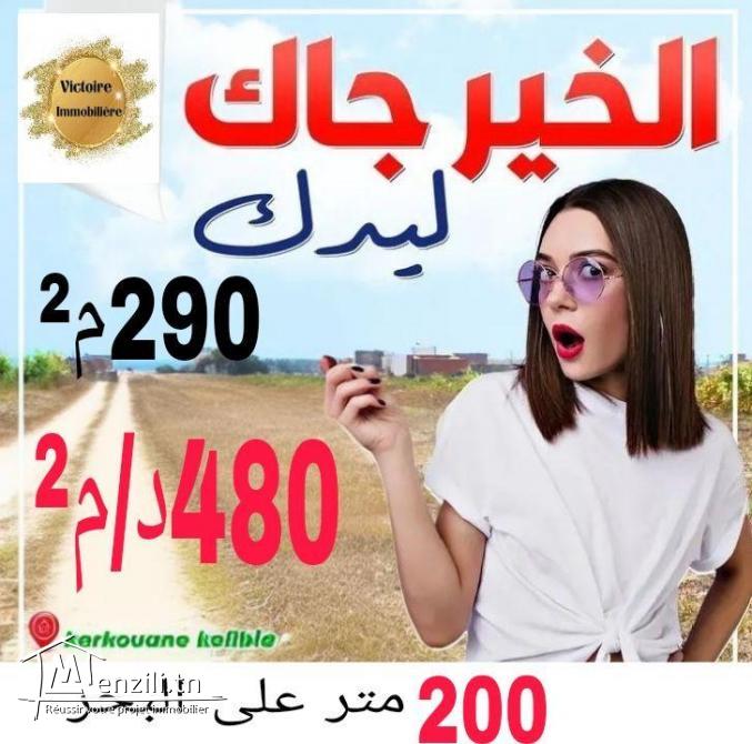 terrain  A vendre de 290m²
