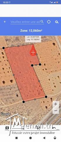 12000 m2 route teniour km 16 Idéale