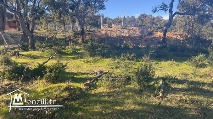 أرض للبيع في بني مطير