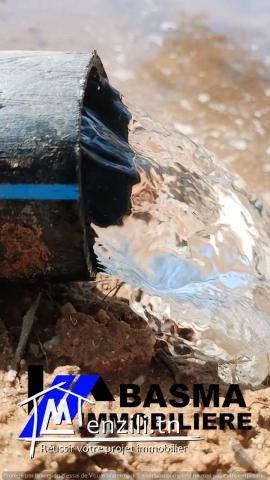 Une ferme à vendre située à kalaa kbira kondar