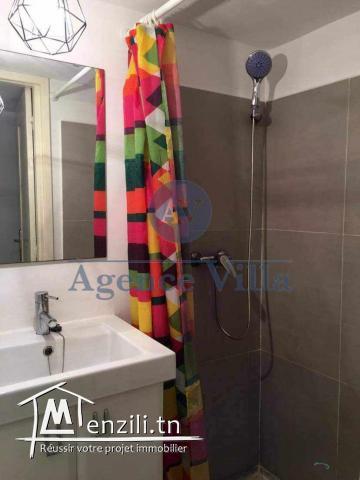 un appartement s+1 vide ou meublé à la marsa