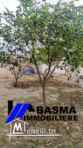 Une ferme de deux hectares et 1000m² à vendre située à kalaa kbira bourra