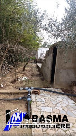 Une ferme de deux hectares à vendre située à kalaa kbira bourra