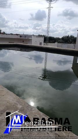 Une ferme de deux hectares à vendre située à kalaa kbira bourra