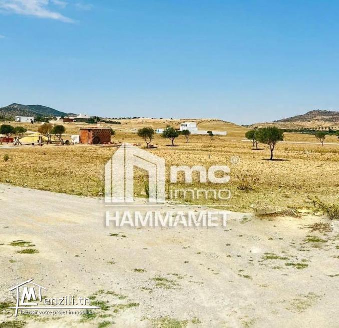 أراضي للبيع في بوفيشة