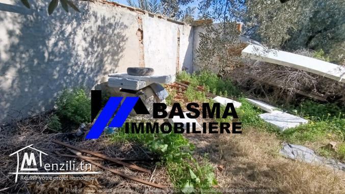 Une Senia à vendre situé à sidi bou ali Prés kiosque agil