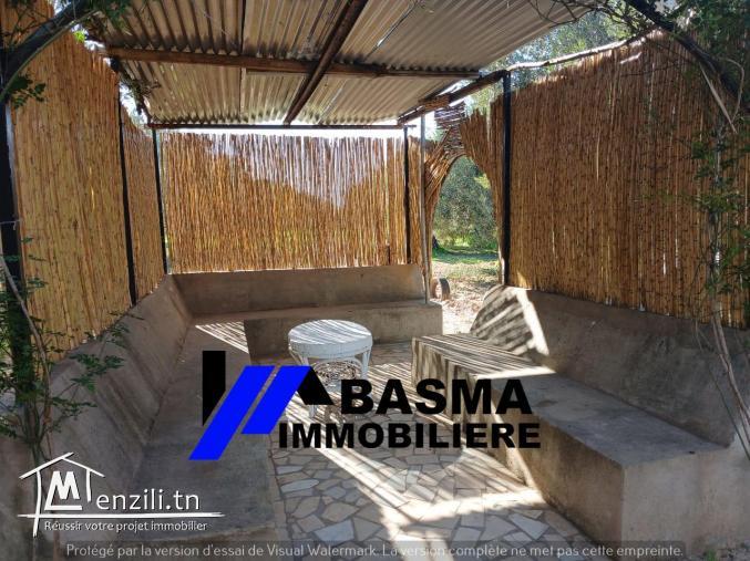 Une Senia à vendre situé à sidi bou ali Prés kiosque agil