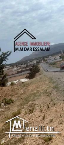 terrain à menzel temime